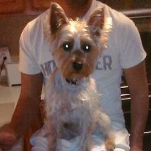 Meet your Posher, Kealii