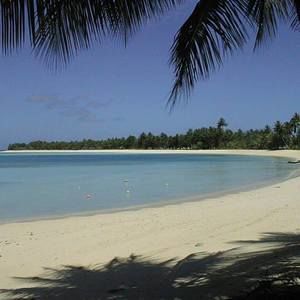 Meet your Posher, Trina