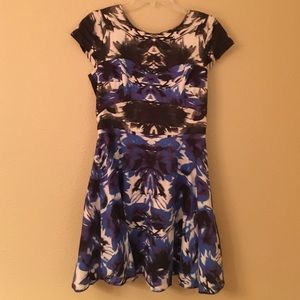 Milly Fit and Flair Dress