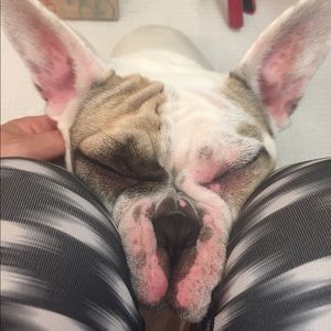 Meet your Posher, Cat