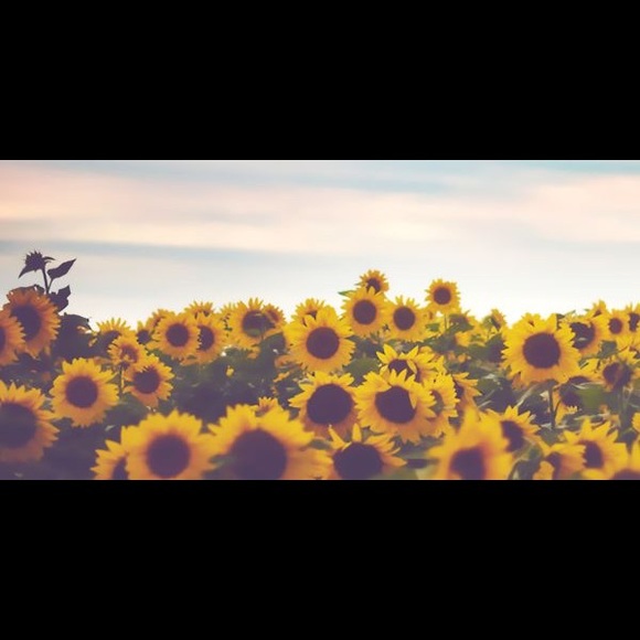 Meet your Posher, Rachel - Picture 1 of 1