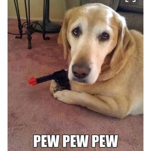 Meet your Posher, Susan