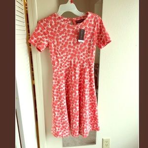 Dorothy Perkins Summer Dress