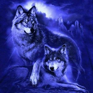 Meet your Posher, Dawn