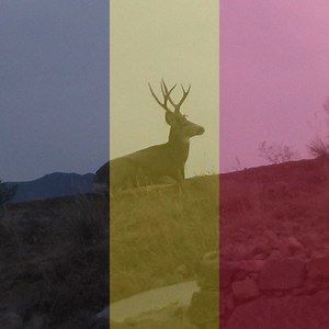 Meet your Posher, Sherri