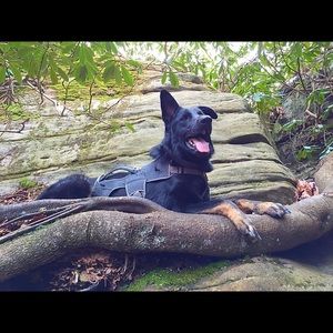 Meet your Posher, Debby