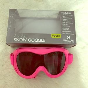 Snow goggle