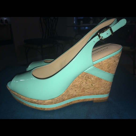 Antonio Melani Mint 6 1/2 Wedges