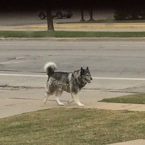 Meet your Posher, Cade