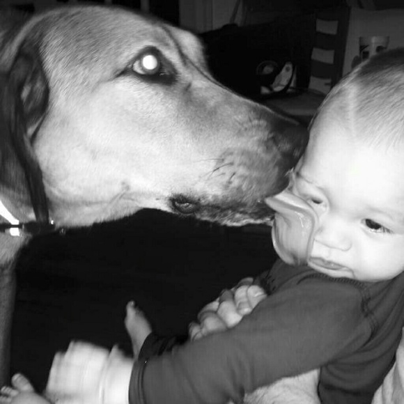 Meet your Posher, Kirsten - Picture 4 of 4