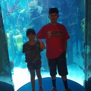 Meet your Posher, Jamie