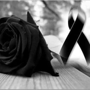 Meet your Posher, Patria