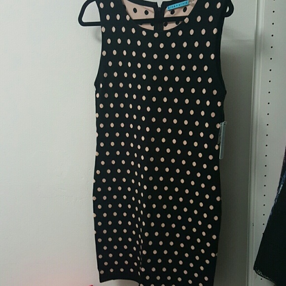 Marta polka dot sweater dress -alice and olivia - Picture 2 of 4