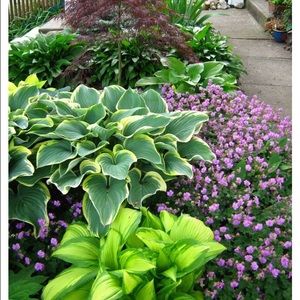 Meet your Posher, Earkiyah