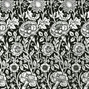 Meet your Posher, Clarence