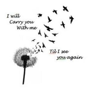 Meet your Posher, Ariel