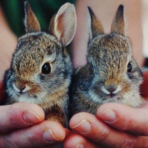 Meet your Posher, Sherry