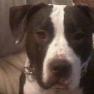 Meet your Posher, Alisha