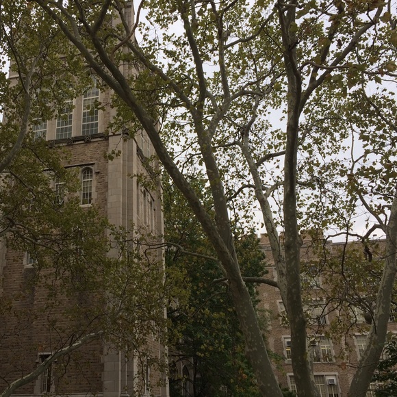 Meet The Posher, Alvy - Picture 4 of 4