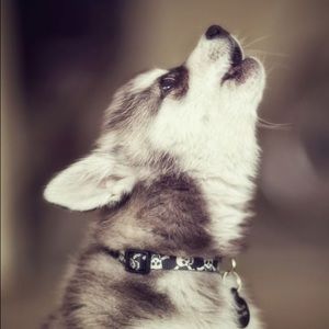 Meet your Posher, Mckenna