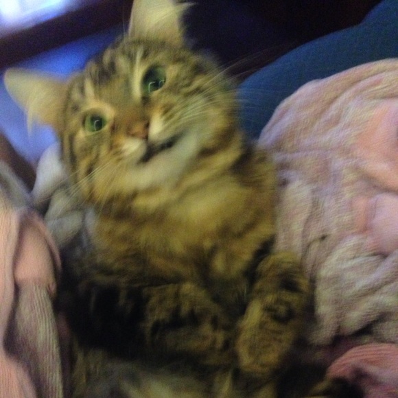 HAITUS DO NOT BUY, 🌸🌷🌻 MOVING - Picture 2 of 4