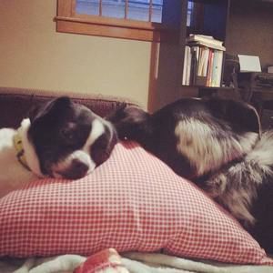 Meet your Posher, Clare