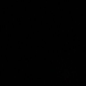 Meet your Posher, Dioniri