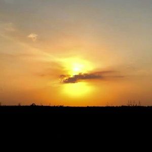 Meet your Posher, Cynthia