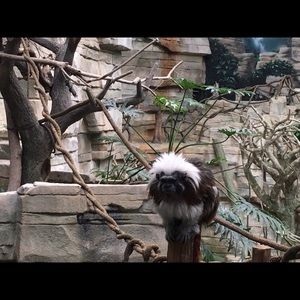 Meet your Posher, Kara