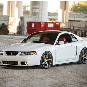 Meet your Posher, Roel