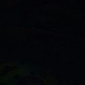 Meet your Posher, Susana