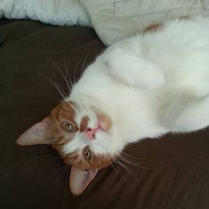 Meet your Posher, Candice