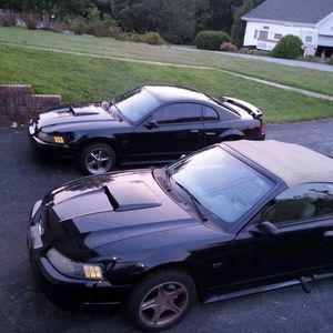 Meet your Posher, Evelyn