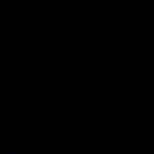 Meet your Posher, Shanae