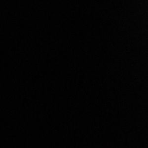 Meet your Posher, Libby