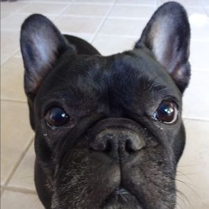 Meet your Posher, Jen