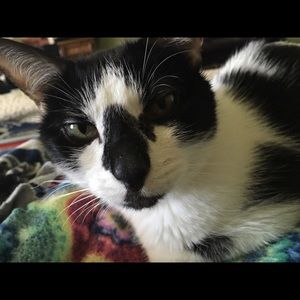 Meet your Posher, Kam