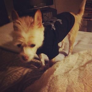 Meet your Posher, Lee