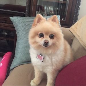 Meet your Posher, Johana