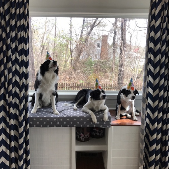 Meet your Posher, Laura - Picture 2 of 6