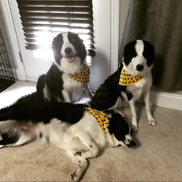 Meet your Posher, Laura - Picture 4 of 6