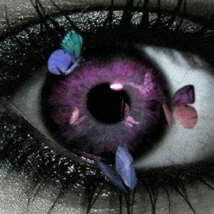 Meet your Posher, Christy