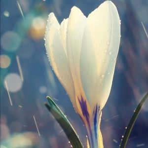 Meet your Posher, Tracy