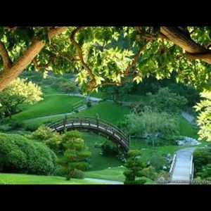 Meet your Posher, Rina