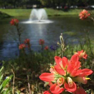 Meet your Posher, Bryan