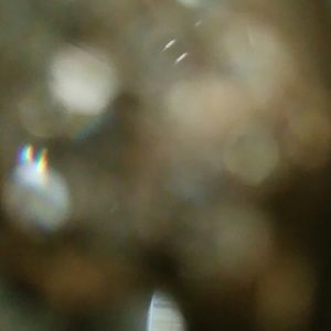 Meet your Posher, Franchesca