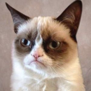 Meet your Posher, Alinda