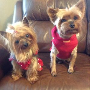 Meet your Posher, Rhonda