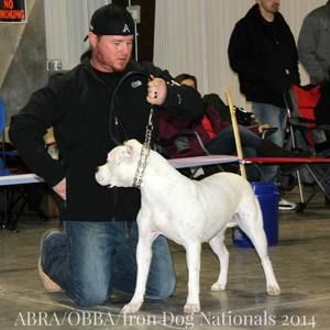 Meet your Posher, Brook