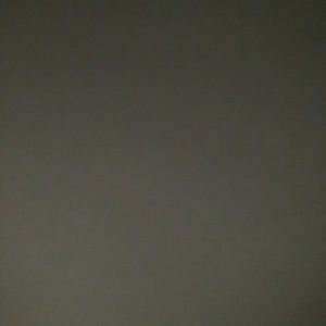 Meet your Posher, Mia